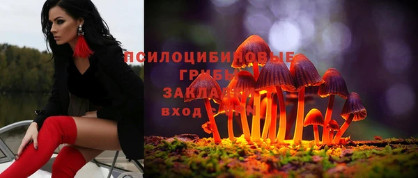 крисы Абинск