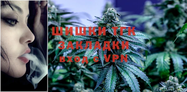 spice Пересвет