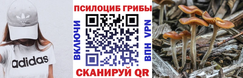 Галлюциногенные грибы мицелий  Собинка 